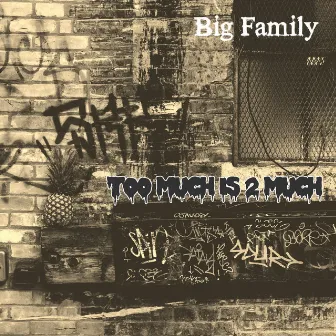 Too Much Is 2 Much by Big Family