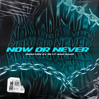 Now or Never by Bhalwaan