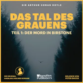 Das Tal des Grauens (Teil 1: Der Mord in Birstone) by Audio Media Digital Hörbücher