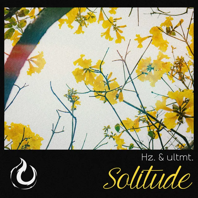 Solitude