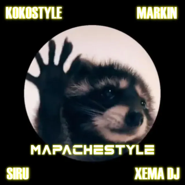 Mapachestyle