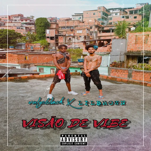 Visão de Vibe