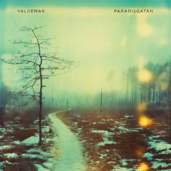 Paradisgatan by Valdemar