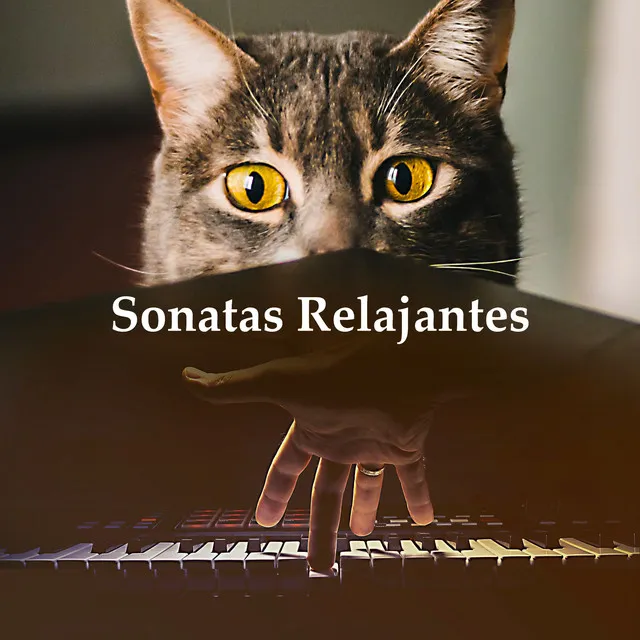 Sonatas Relajantes