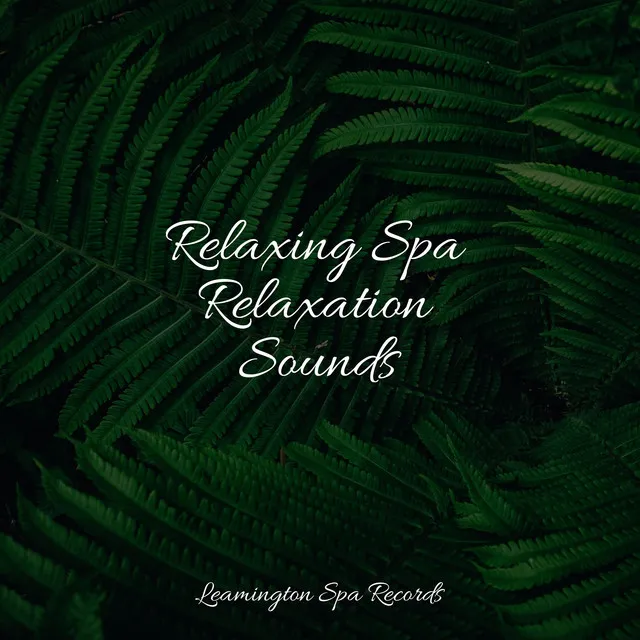 Relaxing Spa Relaxation Sounds