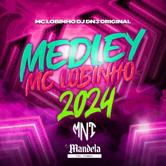 Medley Mc Lobinho 2024 by DJ DN3 ORIGINAL