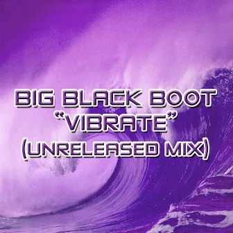 Vibrate Remixes by Big Black Boot