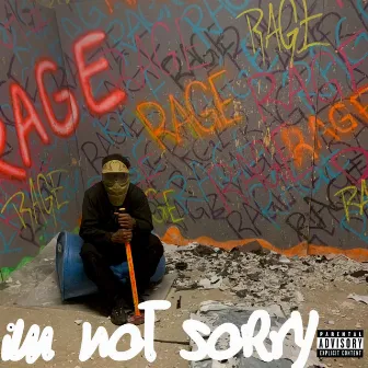 im not sorry by 2phonez