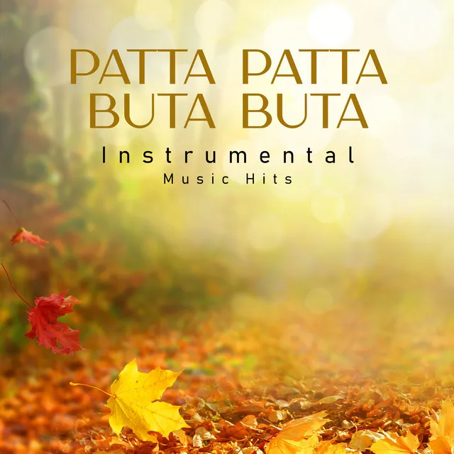 Patta Patta Buta Buta - From "Ek Nazar" / Instrumental Music Hits