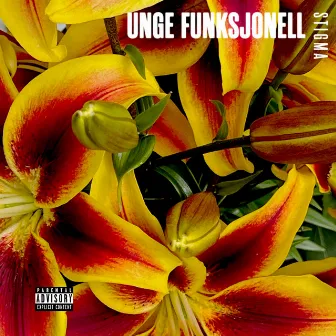 STIGMA by Unge Funksjonell