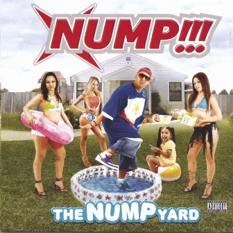 The NUMP Yard by Nump