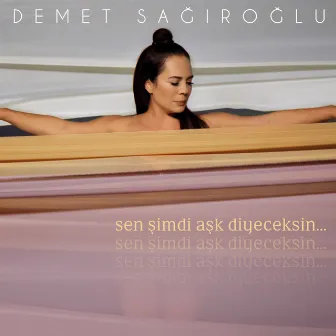 Sen Şimdi Aşk Diyeceksin by Demet Sağıroğlu