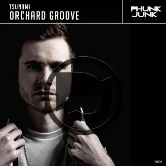 Orchard Groove by Tsunami