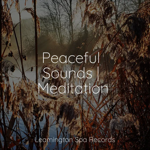 Peaceful Sounds | Meditation