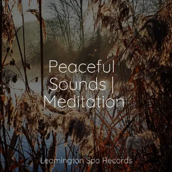 Peaceful Sounds | Meditation by Sleep Sound Library