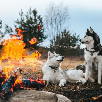 Fireside Ballad with Furry Companions: Music for Stress Relief by 