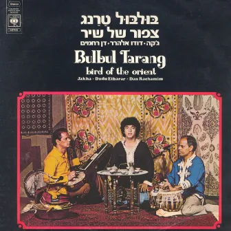 בולבול טרנג – ציפור של שיר by Dudu Elharar