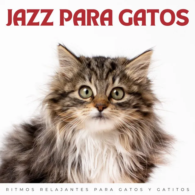 Jazz Para Gatos: Ritmos Relajantes Para Gatos Y Gatitos