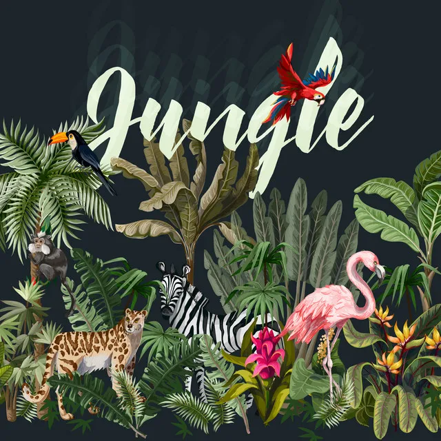 Jungle - The Secrets of Nature: Sounds of Animals, Amazon Ambience