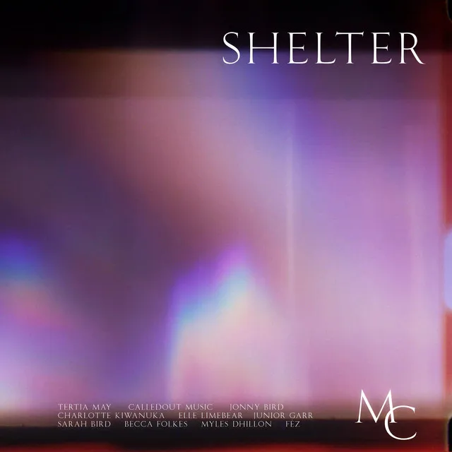 Shelter - Live