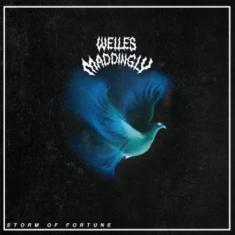 Storm Of Fortune by Welles Maddingly