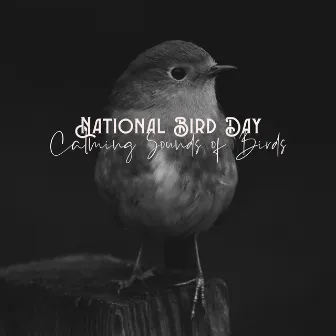 National Bird Day: Calming Sounds of Birds by Birds Singing Academy