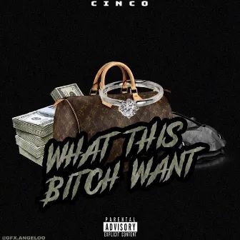 What This Bitch Want by Cinco