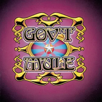 Live...With A Little Help From Our Friends by Gov't Mule