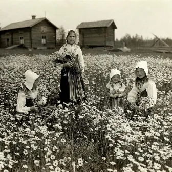 A Summer Day by Öndebo Missionshus