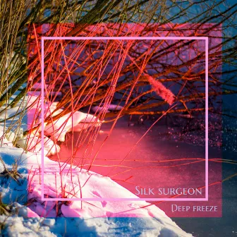 Deep Freeze by Silk Surgeon