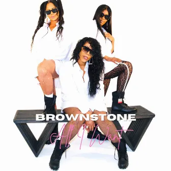 All I Want by Brownstone