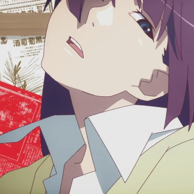 Senjougahara Hitagi, Vol. IV