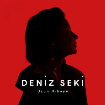 Uzun Hikaye by Deniz Seki