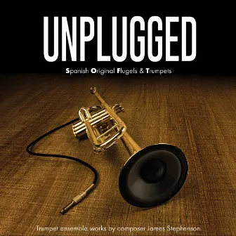 Unplugged by James Stephenson