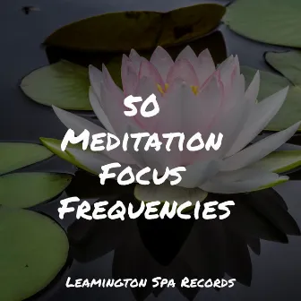 50 Meditation Focus Frequencies by Ambient Nature White Noise