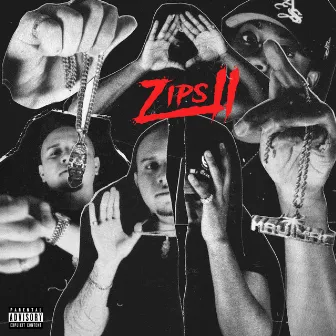 Zips 2 by Maui Mac