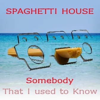 Somebody That I Used to Know (House Version) by 