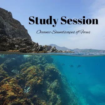 Study Session: Oceanic Soundscapes of Focus by 