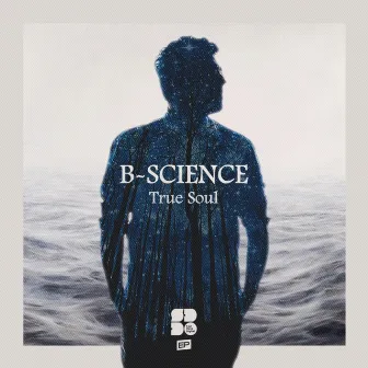 True Soul by B-Science