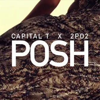 Posh by 2po2