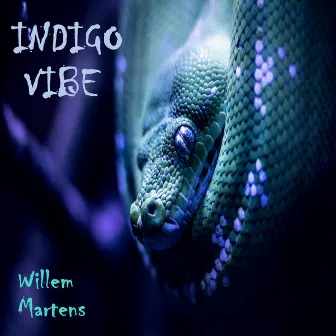 Indigo Vibe by Unknown Artist