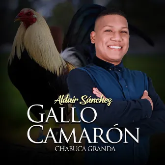 Gallo Camaron by Unknown Artist