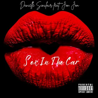 Sex In The Car by Danielle Sinclair