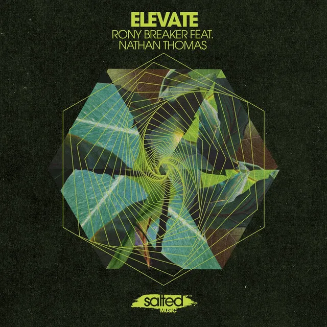 Elevate - Miguel Migs Salty Space Dub