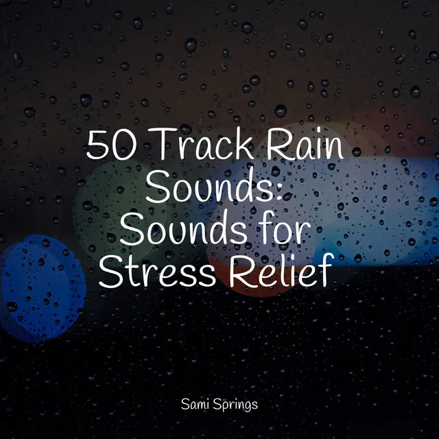 50 Track Rain Sounds: Sounds for Stress Relief