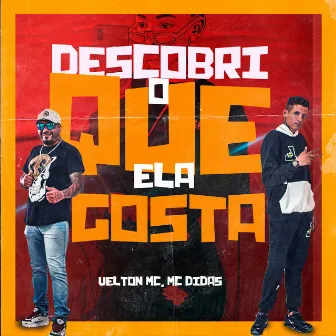 Descobri o Que Ela Gosta by Mc Didas