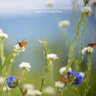 Sounds of the Summer Forest by The Beautiful World Around