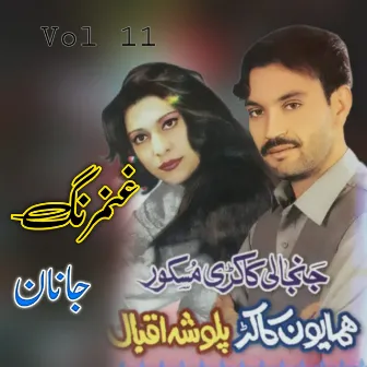 Ghanam Rang Janan, Vol. 11 by Unknown Artist