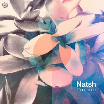 Memories EP by Natsh