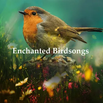 Enchanted Birdsongs by Avez